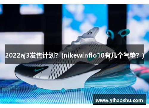 2022aj3发售计划？(nikewinflo10有几个气垫？)