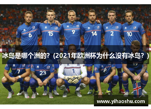 冰岛是哪个洲的？(2021年欧洲杯为什么没有冰岛？)